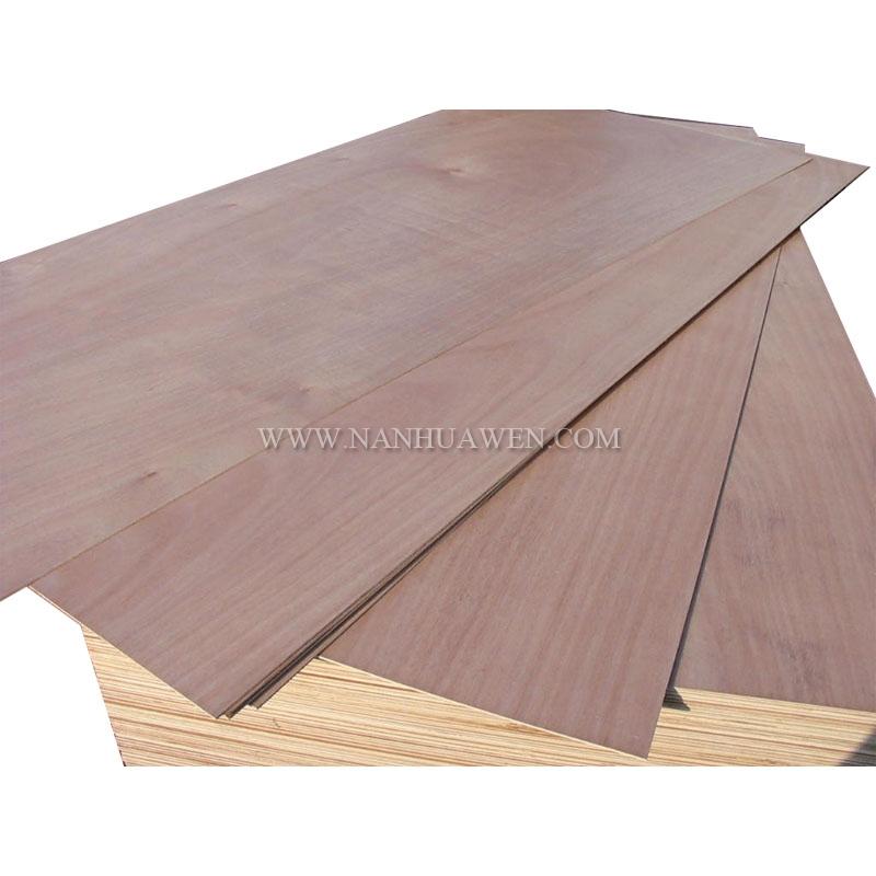 plywood door skin.JPG