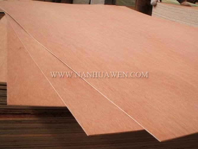 Bintangor plywood door skin.jpg